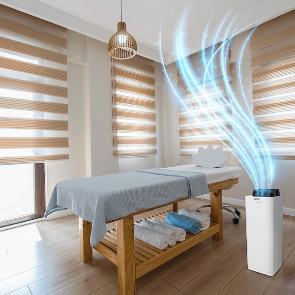 Purificator aer Mitsubishi Electric MA-E100R-E